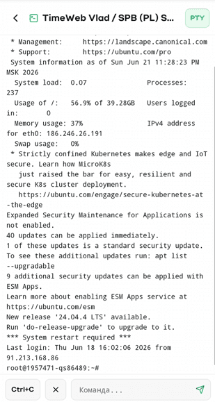 VPS Manager — Snimci ekrana 8